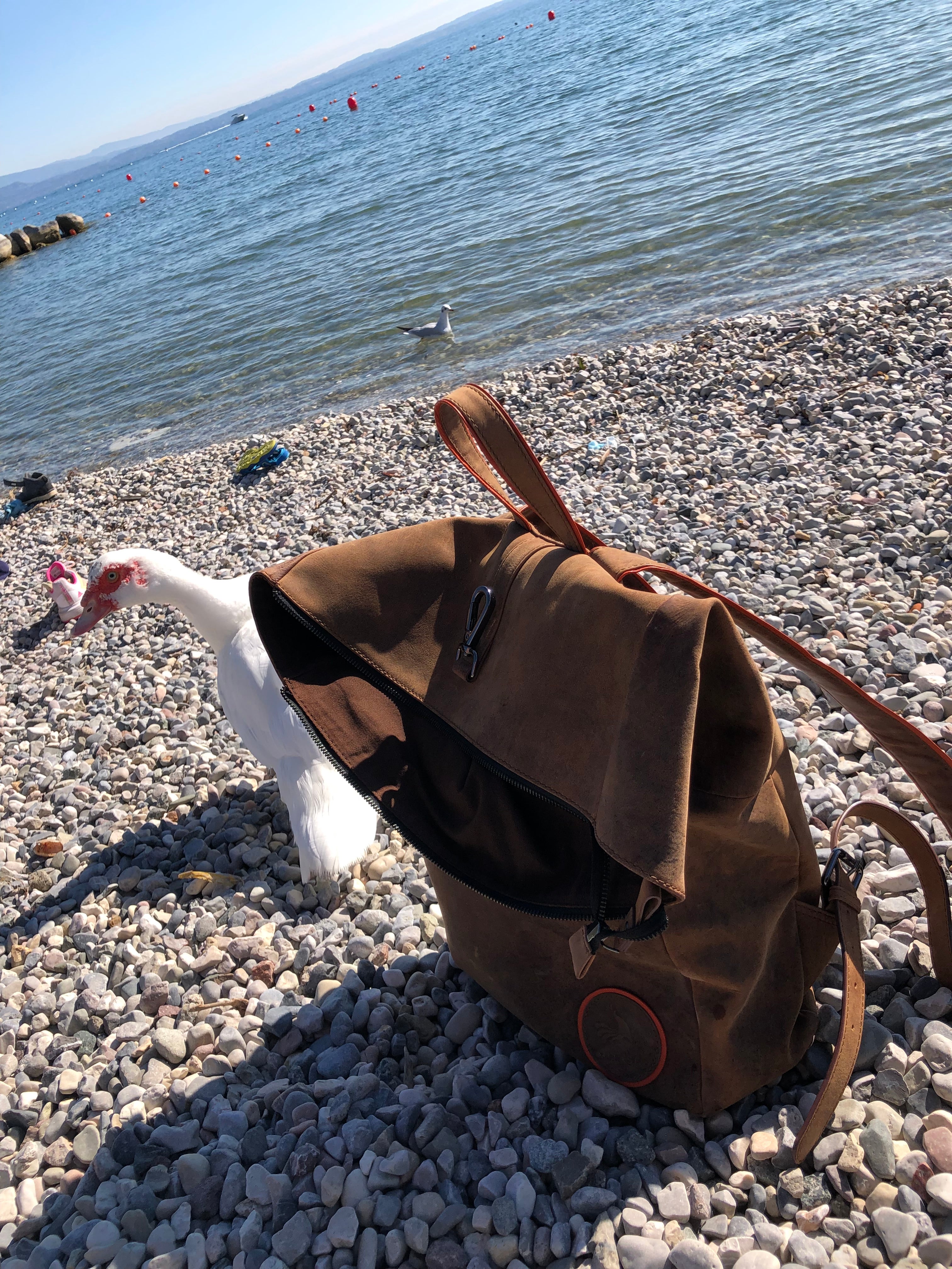 Rolltop Rucksack Fleur